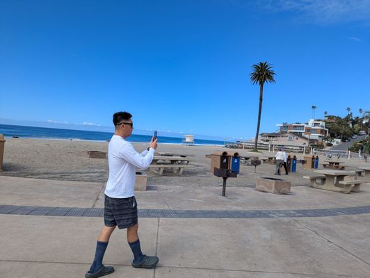 Moonlight State Beach by null