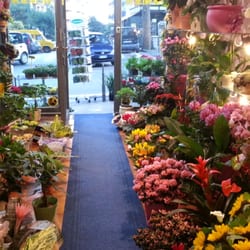 Senese Fiori