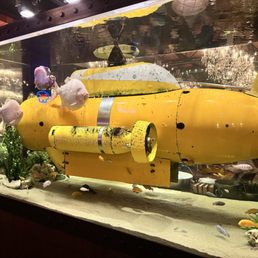 Cool aquarium