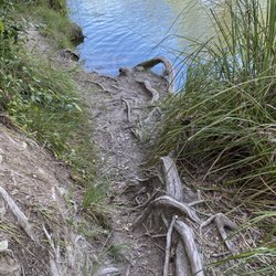 Frio River Cabins - A little path to walk in if you don't want to go down the ladder. This is better for a pup.