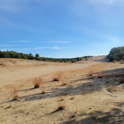 Rhode Island Desert