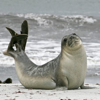 Mobile Notary With Seal - Notaries Near Me - DeLand, Florida Mobile Notary With Seal - Notaries Near Me - DeLand, Florida
