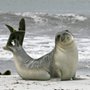 Photo of Mobile Notary With Seal