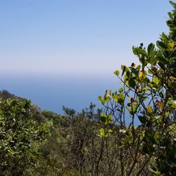 Parco Nazionale del Circeo - View from Park