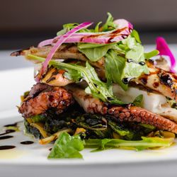 Chazz Palminteri Italian Restaurant - White Plains - Grilled octopus salad