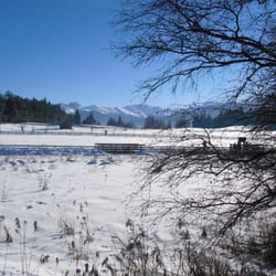 Seefelder Wildsee