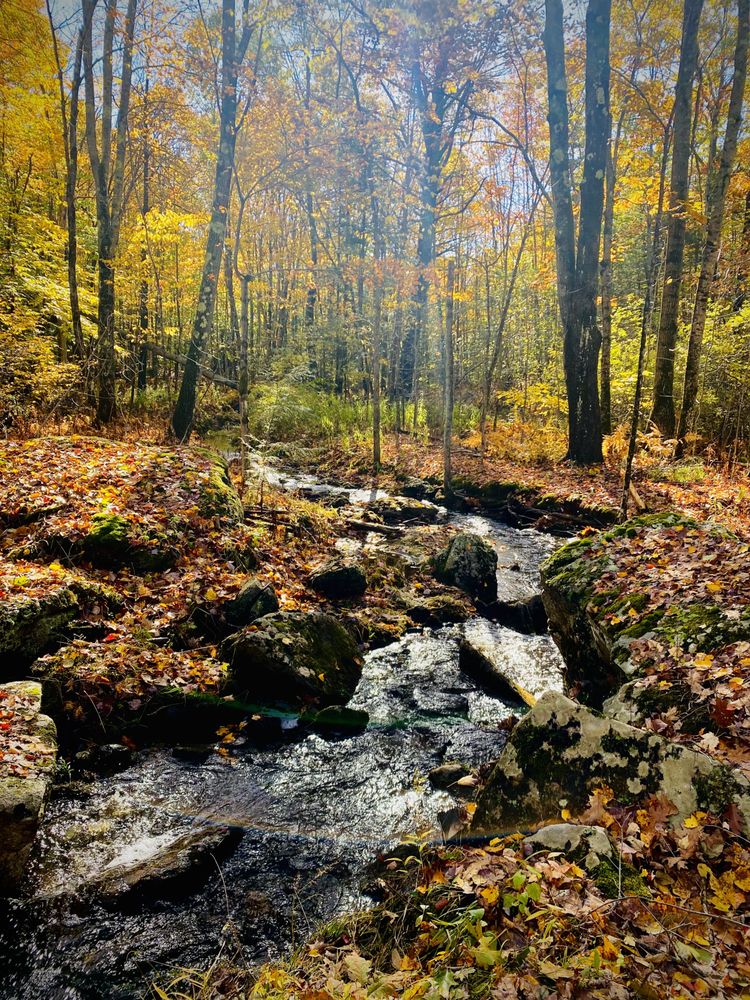 Tender Field Farm - grief counselor in Lewiston, ME