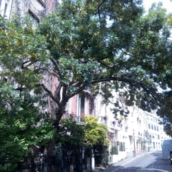 La Butte Bergeyre - Ambiance Greenwich Village ( New-York)