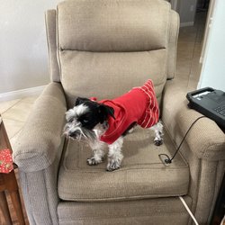 JVC Upholstery - Would like a quote for the labor to reupholster this recliner.