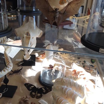 Natur Showroom - Lots of gorgeous stuff! - Home Decor Near Me - Midvale, Utah Natur Showroom - Lots of gorgeous stuff! - Home Decor Near Me - Midvale, Utah