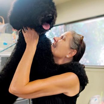 Paw Spa - Pet Groomers Near Me - Grass Valley, California
