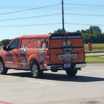 Buckaroo Pest Protection - Pest Control Near Me - Plano, Texas