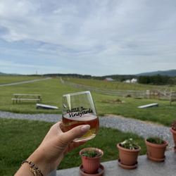 Castle Vineyards - Rosé