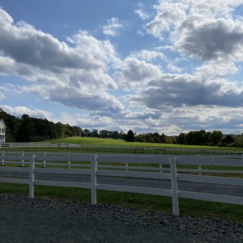 Bluebird Farm Alpacas - Beautiful field - Attraction Farms Near Me - Peapack, New Jersey