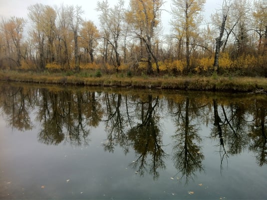 Inglewood Bird Sanctuary by null