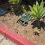 Photo of Budget Bee Services