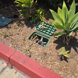 Budget Bee Services - Honey Bees in an irrigation box.