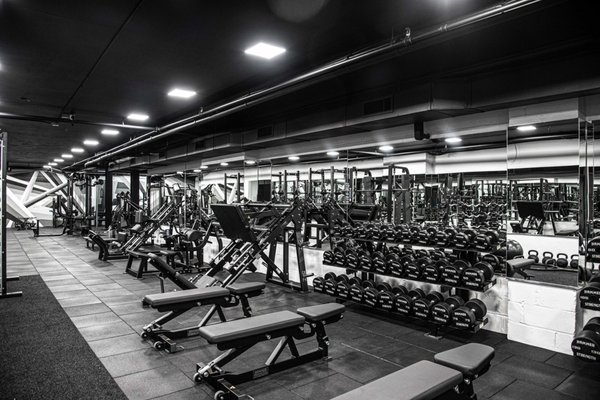 GYM NYC East 3rd St. by null