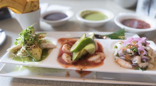 Gloria's Latin Cuisine by null