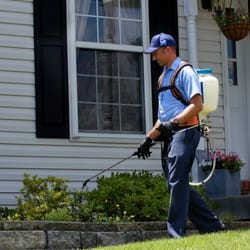 SEE Pest and Lawn Solutions - Pest control