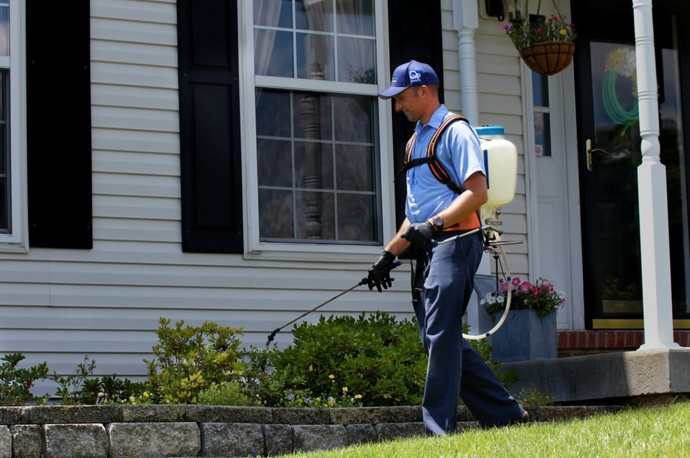 SEE PEST AND LAWN SOLUTIONS Updated August 2024 10 Photos