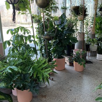 Grounded Plant & Floral - Nurseries & Gardening Near Me - Indianapolis, Indiana