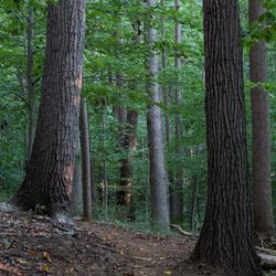 Patapsco Valley State Park - Hilton Area