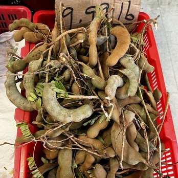 Phnom Penh Market - Green Tamarind $9.99/lb - Grocery Near Me - San Jose, California Phnom Penh Market - Green Tamarind $9.99/lb - Grocery Near Me - San Jose, California