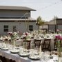 Chris Tack Photography & Videography