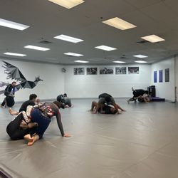 Rise Up Brazillian Jiu Jitsu - Adults and teens in the Thursday night Nogi class.