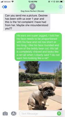 dog gone purrfect mobile grooming