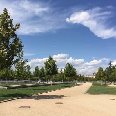 Parque Madrid Río by null