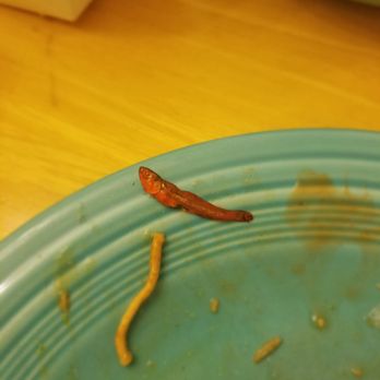 Ching Yen - If you notice the pictures a very small fish.  That fish was found in our sweet and sour sauce.ABSOLUTELY DISGUSTING. - Szechuan Near Me - Bakersfield, California