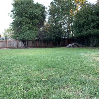 Sal Gutierrez Gardening Service - My new "Park" - Gardeners Near Me
