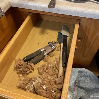 Briar Patch Bed & Breakfast Inn - Mice nest in kitchen drawer - Bed & Breakfast Near Me - Middleburg, Virginia Briar Patch Bed & Breakfast Inn - Mice nest in kitchen drawer - Bed & Breakfast Near Me - Middleburg, Virginia