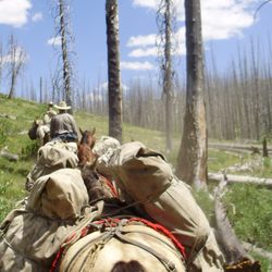 Allreds Adventures - Enjoy a luxurious camp deep in the Sawtooth wilderness with our pack trip services