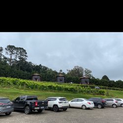 Quinta do Olivardo