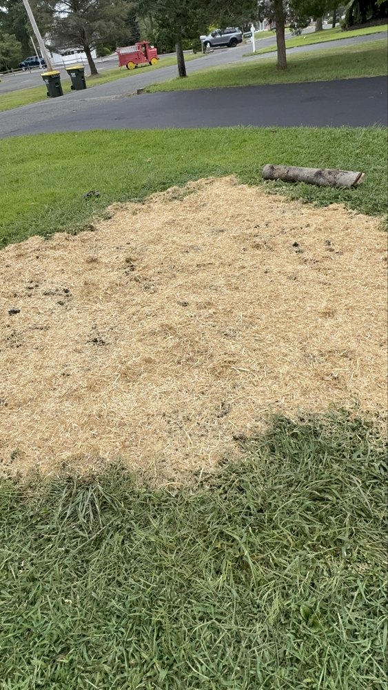 Slide of Silk City Handyman