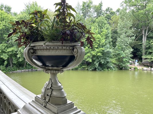 Bow Bridge by null