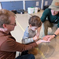 Norwood Christian PreSchool - A visit from Animal Adventures is always an exciting day.