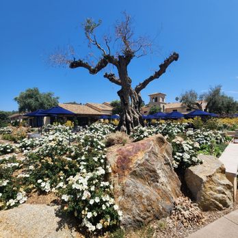 Monserate Winery - Courtyard Pic - Wineries Near Me - Fallbrook, California