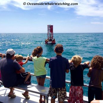 Oceanside Adventures - Boat Charters Near Me - Oceanside, California Oceanside Adventures - Boat Charters Near Me - Oceanside, California