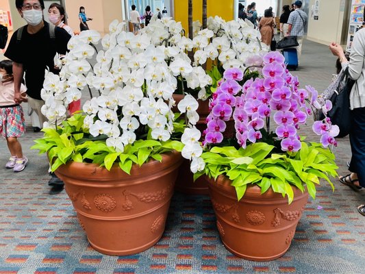 Naha International Airport by null