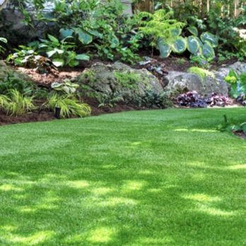 Harris Outdoor Solutions - Lawn Services Near Me - Wake Forest, North Carolina Harris Outdoor Solutions - Lawn Services Near Me - Wake Forest, North Carolina