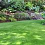 Photo of Harris Outdoor Solutions