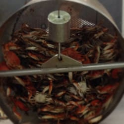 CBS Seafood & Catering - Boiled crabs.. The best in river parishes...