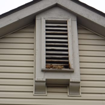 Michigan's Bat Expert - Entry point that wildlife is using to gain entry. - Wildlife Control Near Me - Waterford, Michigan
