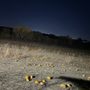 Photo of Vala's Pumpkin Patch