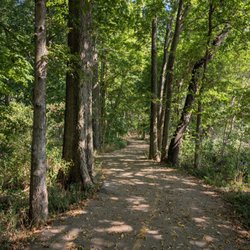 Potter's Bridge Park
