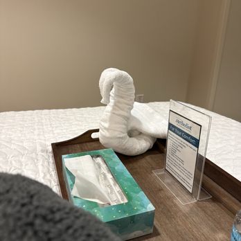Houston Methodist Willowbrook Hospital - A swan towel like at the 5-Star Hotels - Hospitals Near Me - Houston, Texas Houston Methodist Willowbrook Hospital - A swan towel like at the 5-Star Hotels - Hospitals Near Me - Houston, Texas